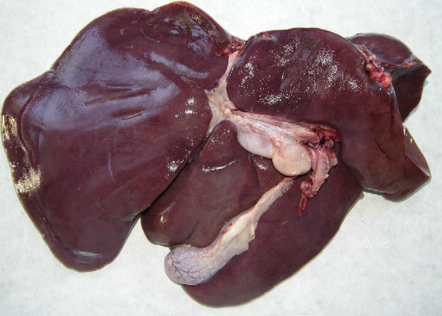 Goats Liver